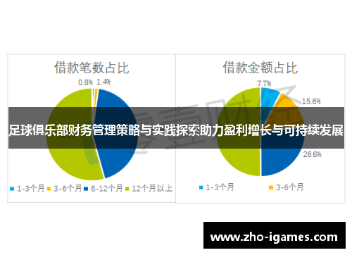 足球俱乐部财务管理策略与实践探索助力盈利增长与可持续发展 足球俱乐部财务管理策略与实践探索助力盈利增长与可持续发展