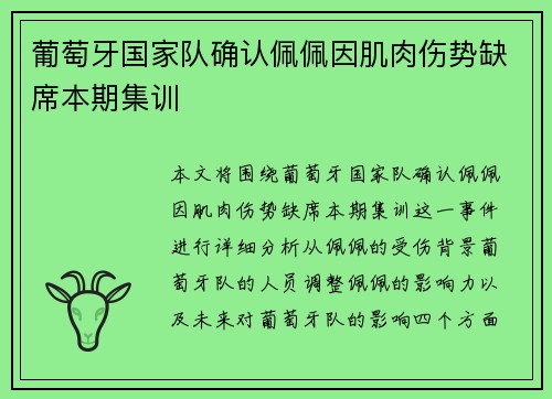 葡萄牙国家队确认佩佩因肌肉伤势缺席本期集训